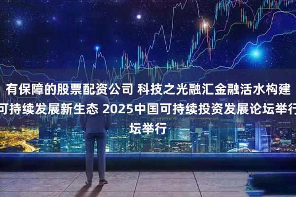 有保障的股票配资公司 科技之光融汇金融活水构建可持续发展新生态 2025中国可持续投资发展论坛举行